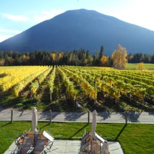 view from tasting room at recline ridge in the Shuswap