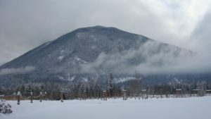 ice wine vineyard