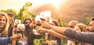 friends cheers with wine in vineyard