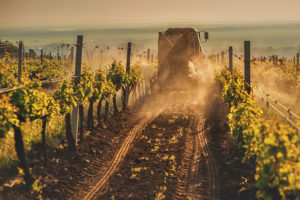 bc wine tractor in vineyard