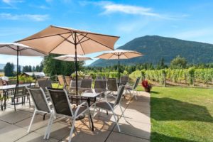 recline ridge patio view