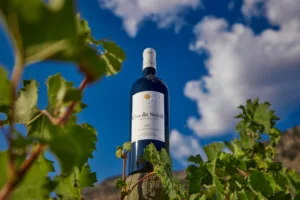 wine bottle and vines at Clos du Soleil Winery in Keremeos