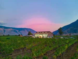 beautiful sunset over wine shop and vineyard in the Similkameen Valley