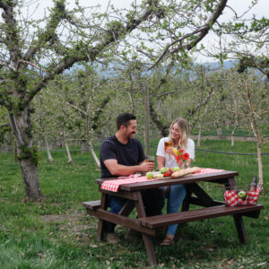 picnic at Wards Cidery in Kelowna