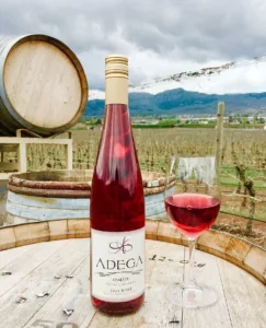 bottle of rose and wine glass on barrel with vineyard in background