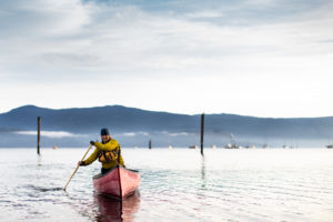 canoeing the Cowichan coast line