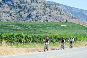 Oliver Osoyoos scenic vineyard cycle