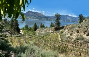 Naramata Bench wineries