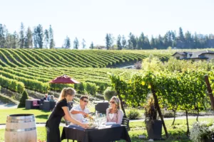 visit an Okanagan Valley winery,