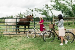 Fraser Valley wine tour