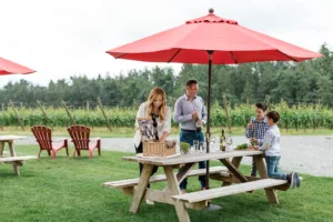 Visit a Fraser Valley winery