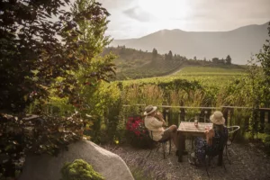 Kootenay wineries