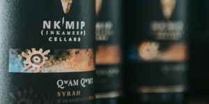 nkmip syrah wine bottle