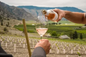 Visit the Similkameen Valley wineries