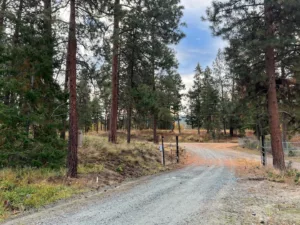 driveway to haskap farms vacation rental suite