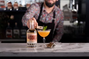 bartender making a vodka cocktail