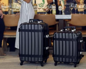 VinGardeValise suitcases designed to travel with wine