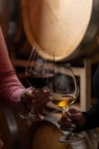 white and red wine glasses cheers in barrel room