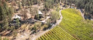 aerial of nighthawk vineyards and luxury tent rentals