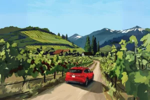 uride illustration of car driving into vineyard