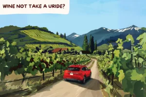 uride car illustration driving along vineyards