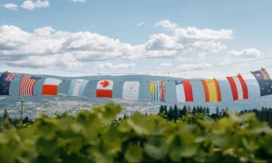 dirty laundry vineyard