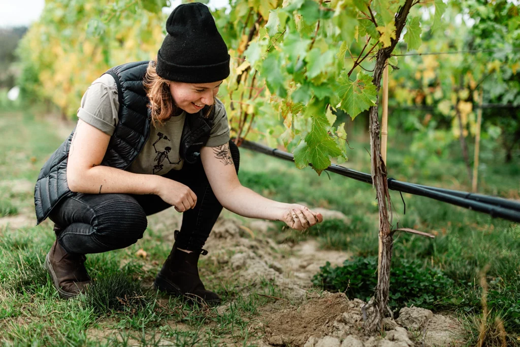 Kamloops wine maker checking soil in vineyard