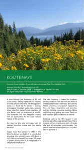 Kootenay wine region of BC